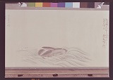 Highslide JS